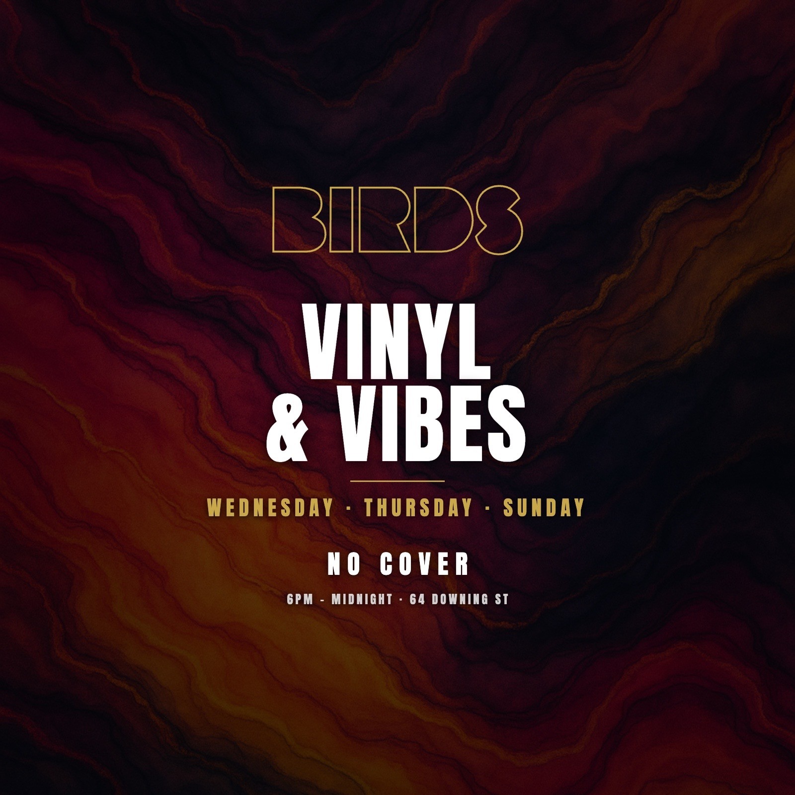 Vinyl & Vibes