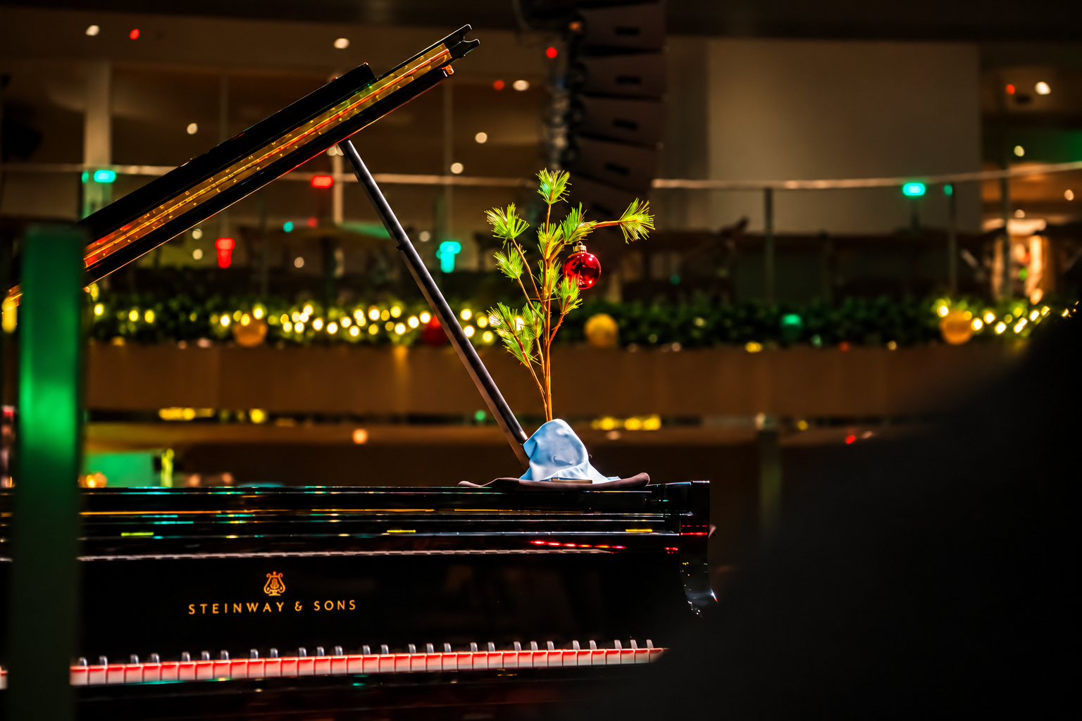 A Charlie Brown Christmas