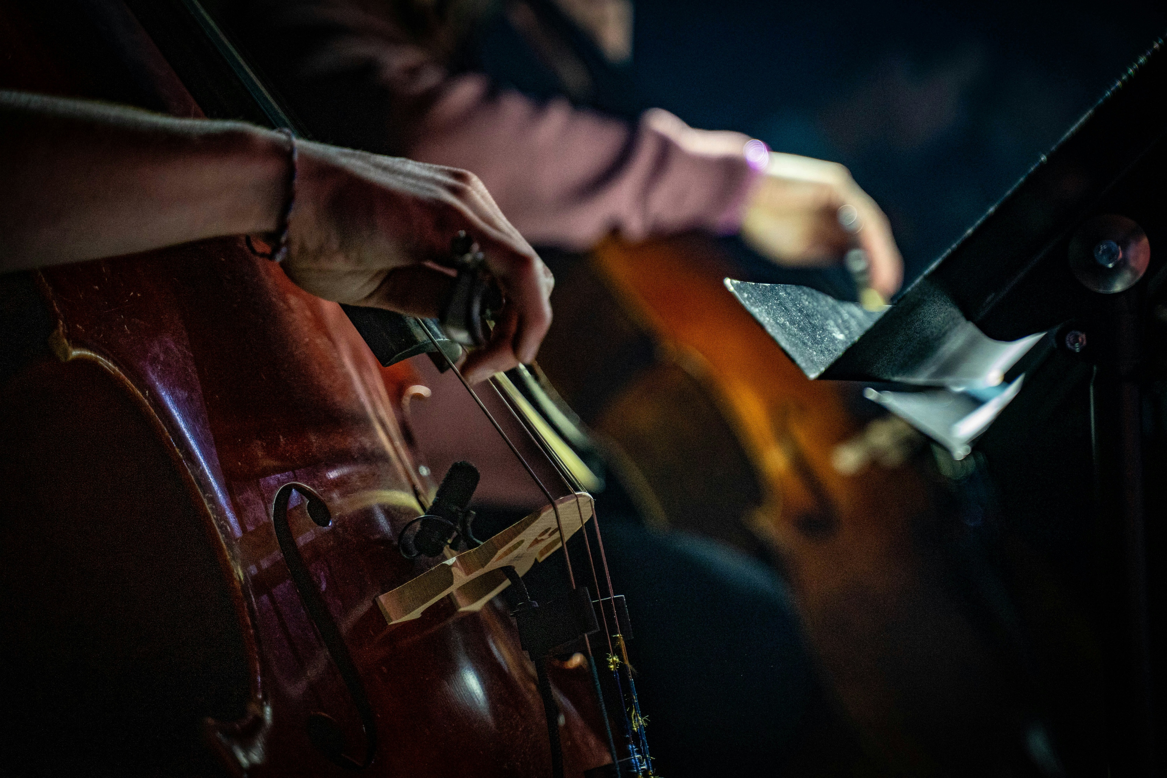 Noah Johnston Jazz Orchestra Community Bash