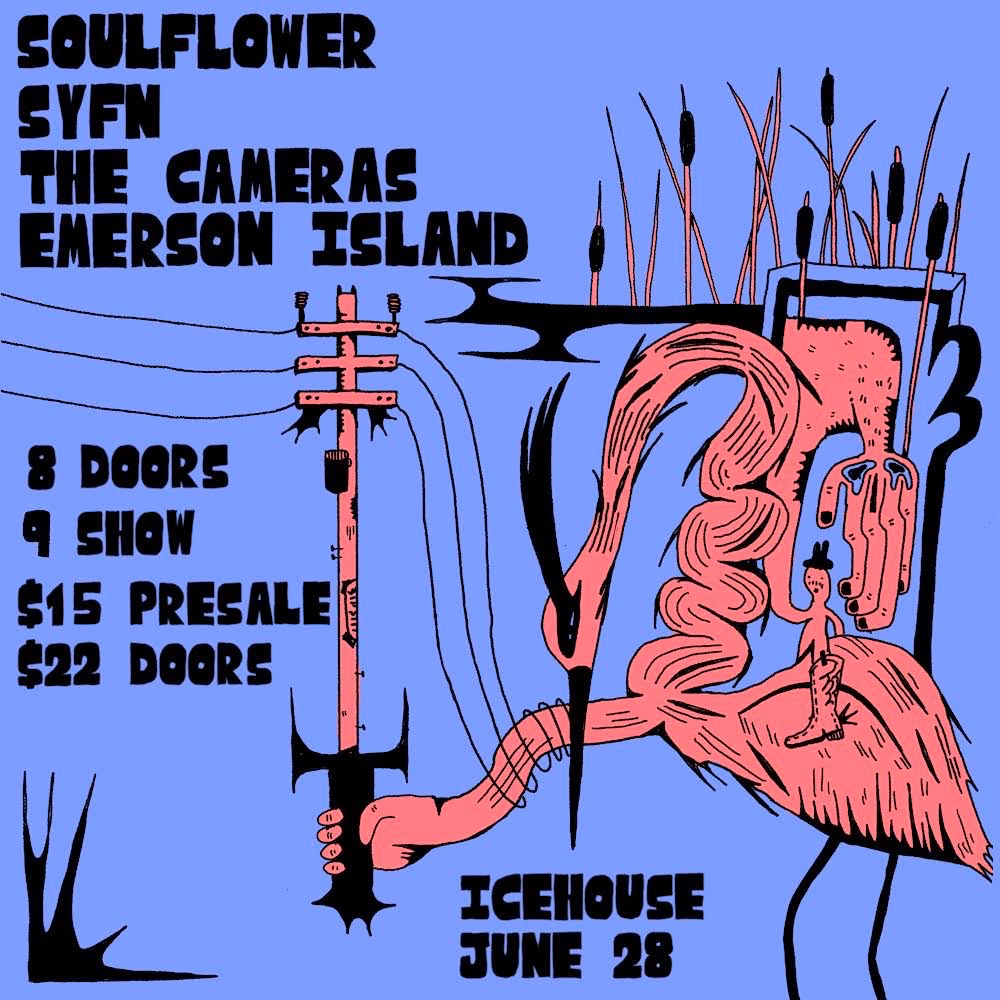 Soulflower, SYFN, The Cameras, Emerson Island at the Icehouse