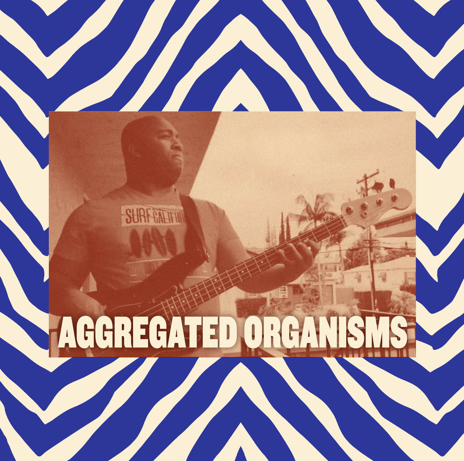 AGGREGATED ORGANISMS