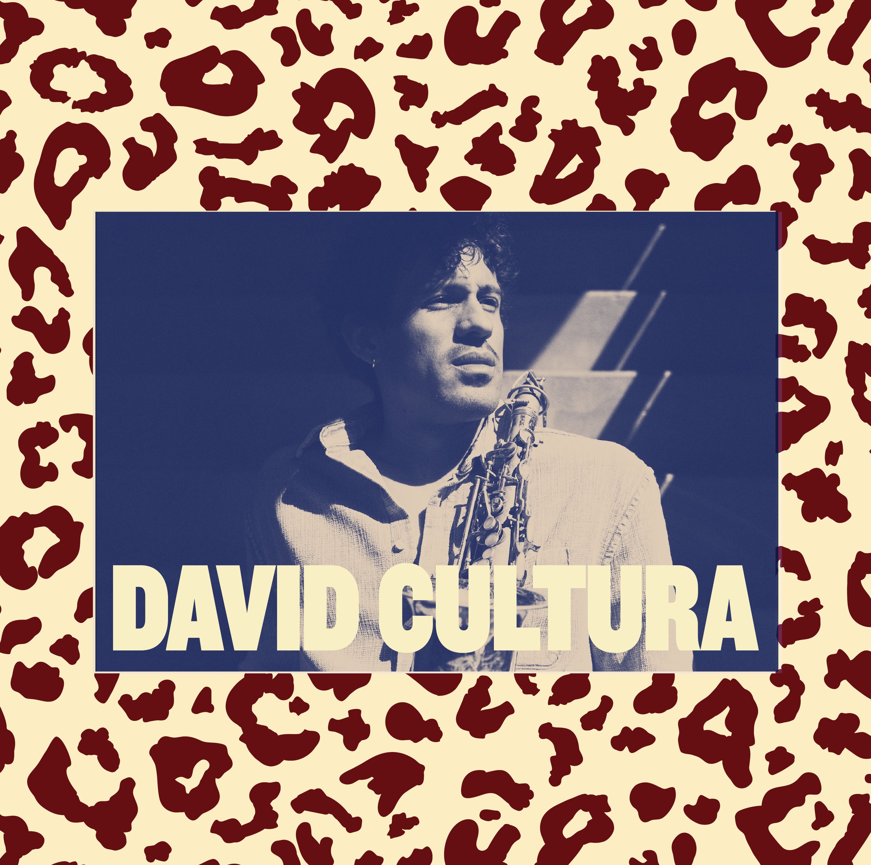 DAVID CULTURA